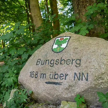 Am Moenchneversdorfer * Schonwalde am Bungsberg