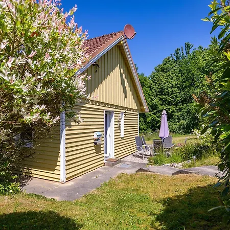 Am Moenchneversdorfer Schonwalde am Bungsberg