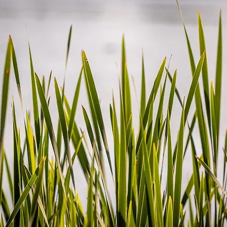 펜션 Am Moenchneversdorfer