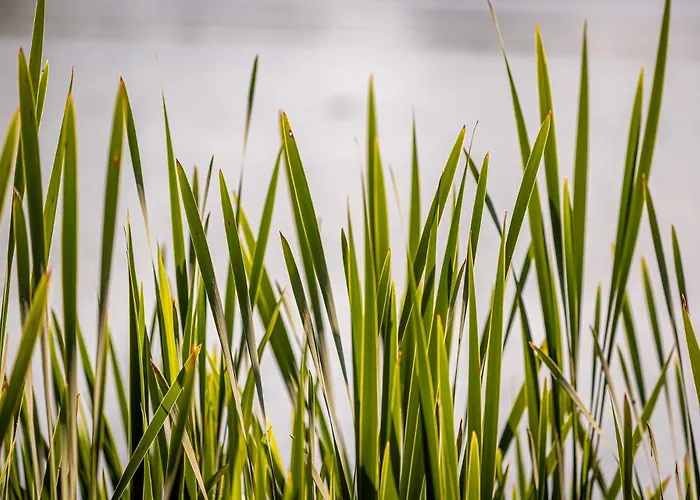 Semesterbostad Am Moenchneversdorfer