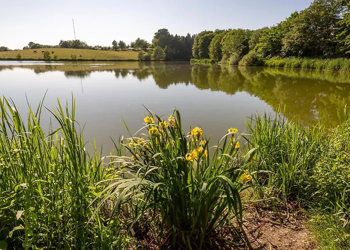 Am Moenchneversdorfer
